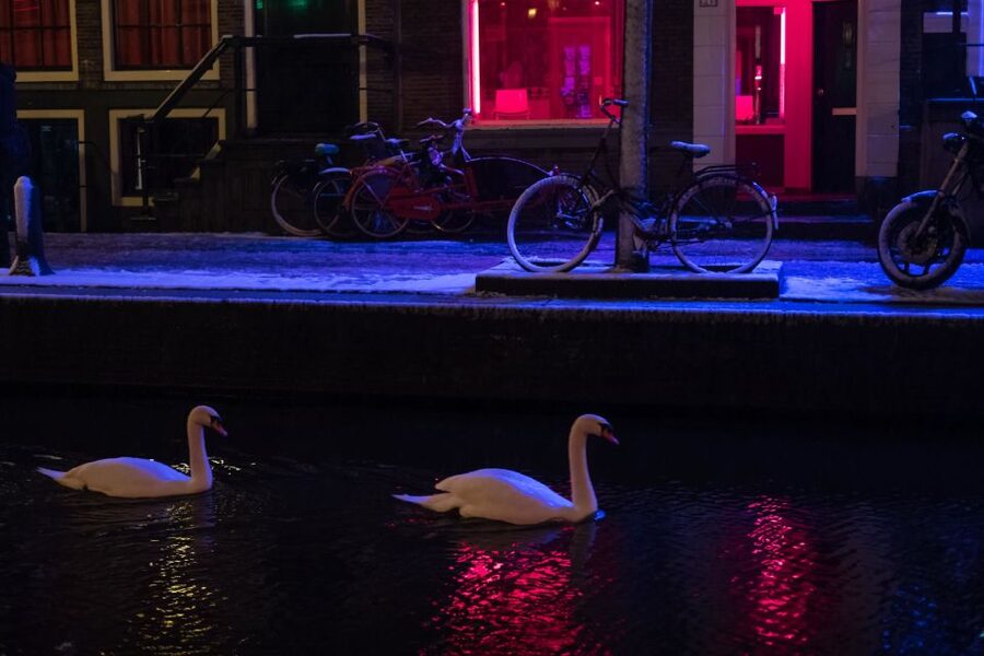 Amsterdam: Red Light District and Coffeeshop Culture Tour - Key points to know before you book