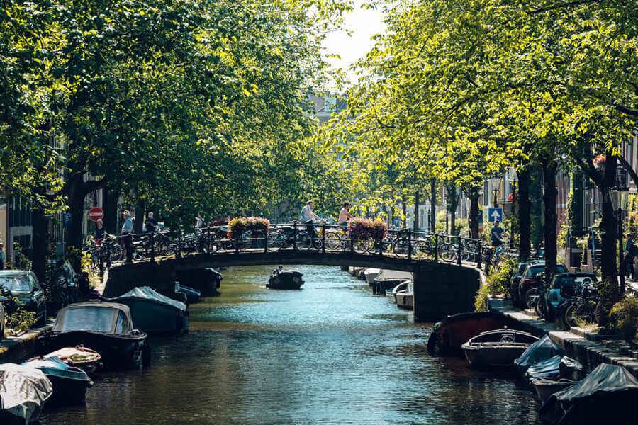 Amsterdam: Relaxed City Highlights Guided Bike Tour - Who will enjoy this tour most?