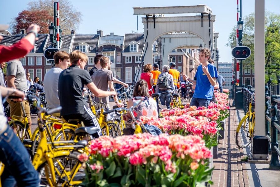 Amsterdam: Relaxed City Highlights Guided Bike Tour - What the guides add to the ride