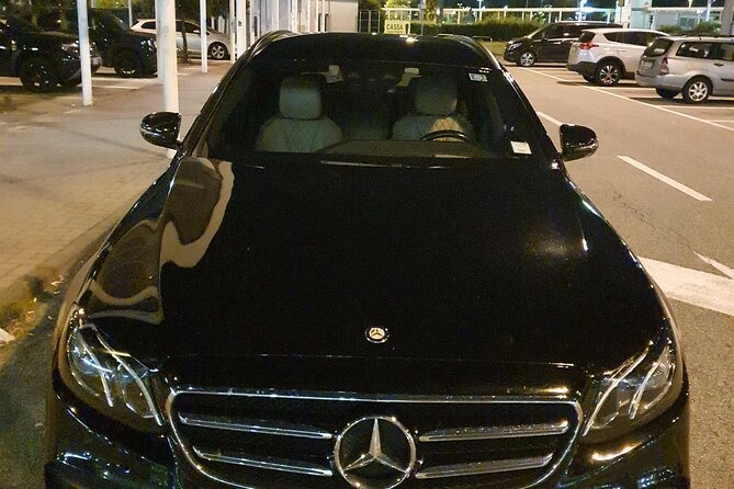 Amsterdam Schiphol Airport (AMS) to Amsterdam - Arrival Private Transfer - Hotel drop-off and luggage help