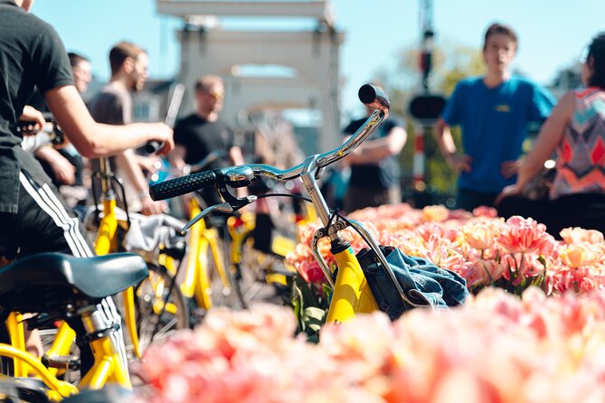 Amsterdam Small Group Bike Tour - Key points to know before you book