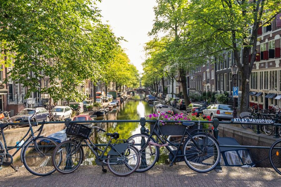Amsterdam Small-Group Walking Tour - Zeedijk and Nieuwmarkt: old port streets and modern contradictions