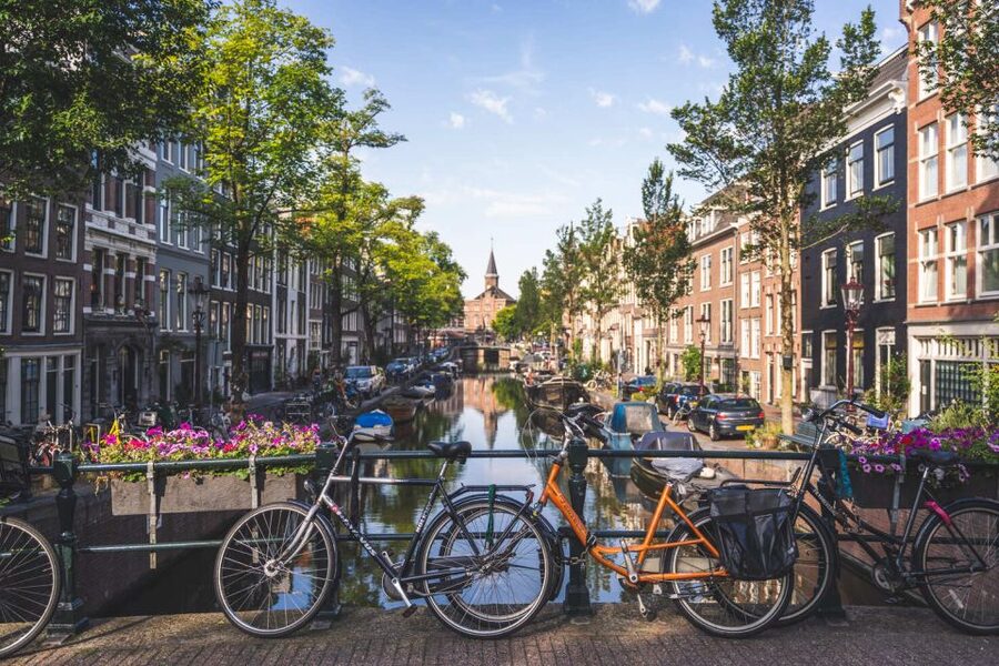 Amsterdam Small-Group Walking Tour - The Jewish Cultural District: difficult stories handled on foot