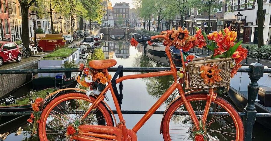Amsterdam: Small Group Walking Tour with Fun Guide - Key points to know before booking