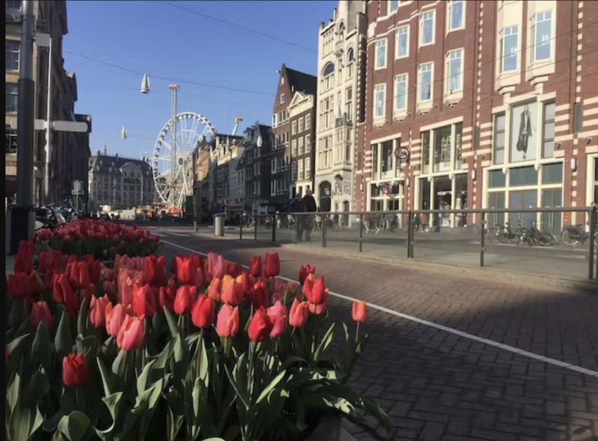 Amsterdam: The Story of History & Culture Walking Tour - A guide who follows your interests