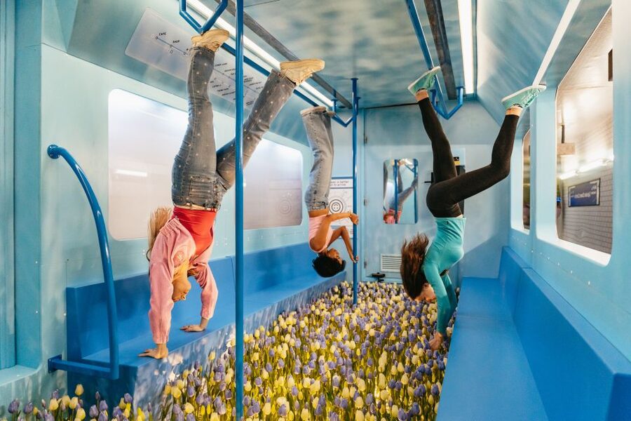 Amsterdam: The Upside Down Museum Entrance Ticket - The Dutch ice bath and upside-down metro