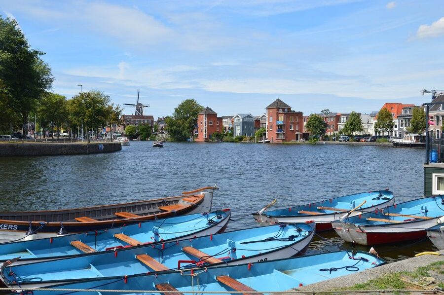 Amsterdam to Haarlem: Private Day-Trip Experience - Is $182 per person a fair price?