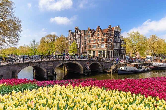 Amsterdam to Schiphol Airport Private Transfer - Private vehicle, group size, and luggage