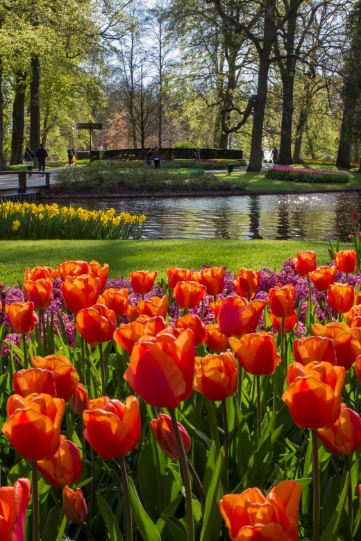 Amsterdam: Tour to Keukenhof Gardens with Windmill Cruise - Key points to know before you book