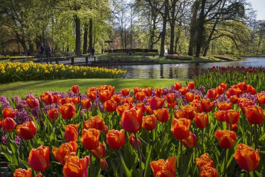 Amsterdam: Tour to Keukenhof Gardens with Windmill Cruise - The flexible ride back to Amsterdam