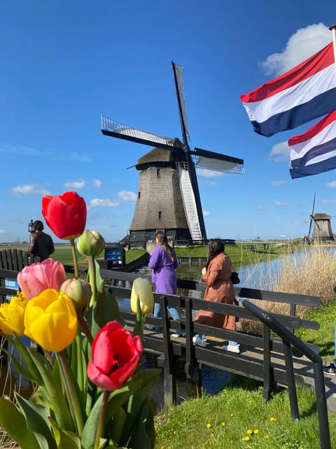 Amsterdam: Tulip Fields Day Tour with Lunch & Windmill - Why this tulip tour feels different from a garden visit