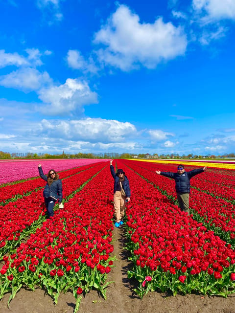 Amsterdam: Tulip Fields Day Tour with Lunch & Windmill - Is $143 a fair price?