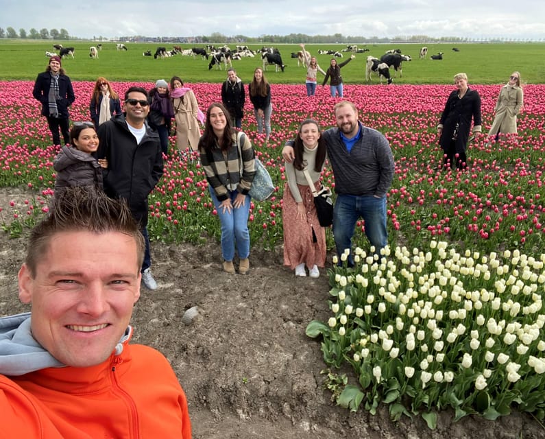 Amsterdam: Tulip Fields Day Tour with Lunch & Windmill - Who should book this outing?