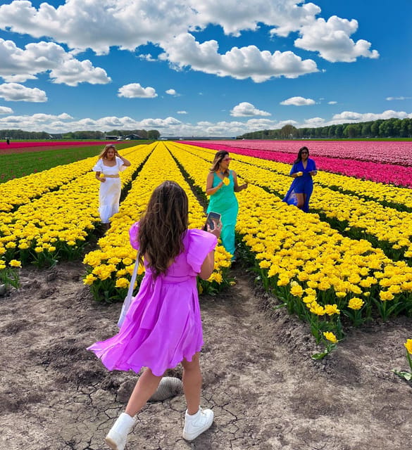 Amsterdam: Tulip Fields Day Tour with Lunch & Windmill - Starting at Market 27 and crossing into North Holland