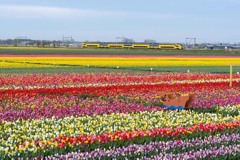 Amsterdam : Tulip Wonderland Tour - The guide’s role and languages