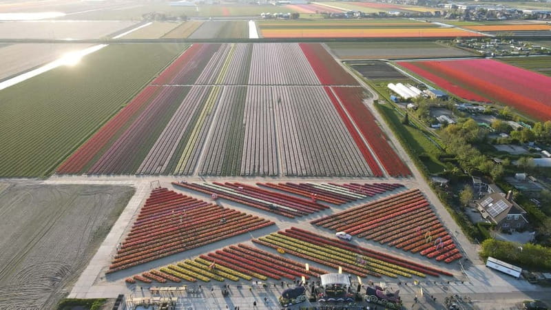 Amsterdam : Tulip Wonderland Tour - Rainy weather and practical comfort