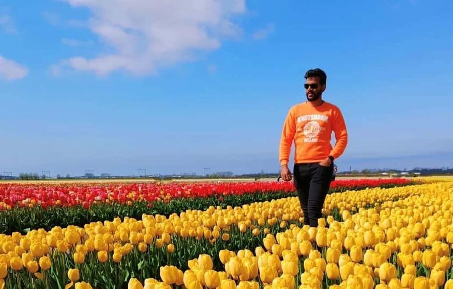 Amsterdam : Tulip Wonderland Tour - Is $37 a fair price?
