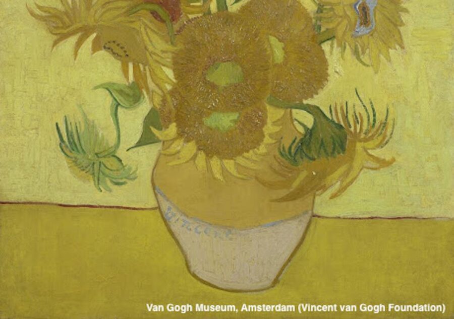 Amsterdam: Van Gogh Museum Guided Tour with Entry - Why a guide changes the Van Gogh Museum