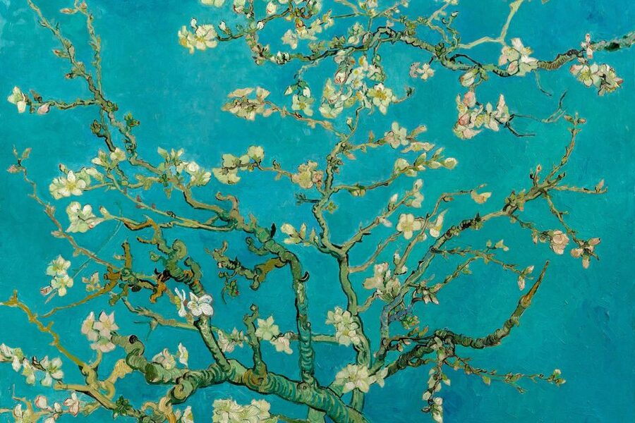 Amsterdam: Van Gogh Museum Ticket and City Canal Cruise - Why the museum can take two to three hours