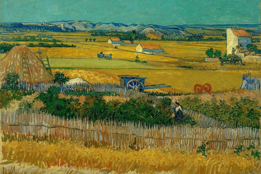 Amsterdam: Van Gogh Museum Ticket & Canal Cruise - Entering the Van Gogh Museum at your reserved time