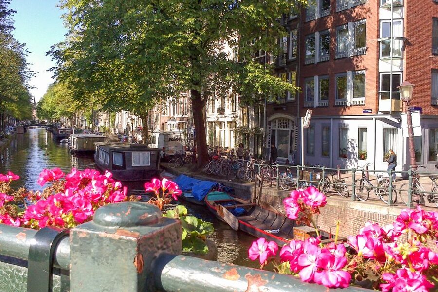 Amsterdam Walking Tour and Canal Cruise - Key points at a glance