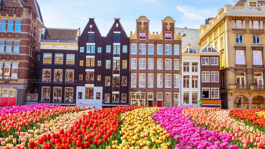 Amsterdam Walking Tour with a Local - Local Advice on Food, Shopping, and Getting Around