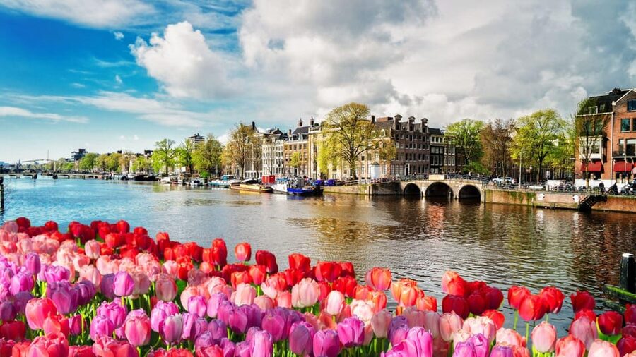 Amsterdam Walking Tour with a Local - Why the Private Group Format Matters