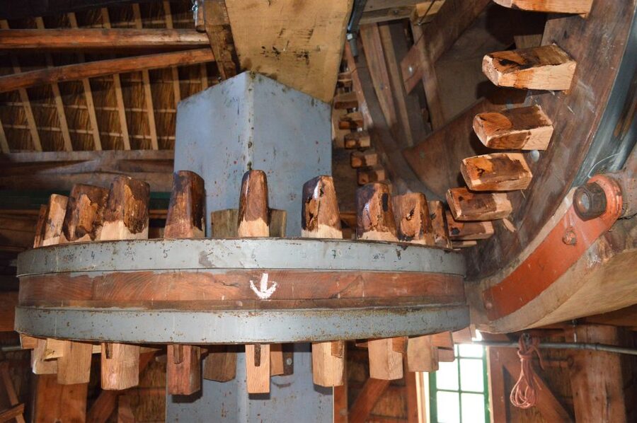 Amsterdam: Windmill Guided Tour - How the guide shapes the experience