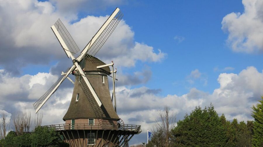 Amsterdam: Windmill Guided Tour - Planning the visit without fuss