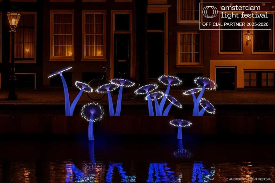 Amsterdam Winter Walking Tour - Starting at Dam Square and the citys beginnings