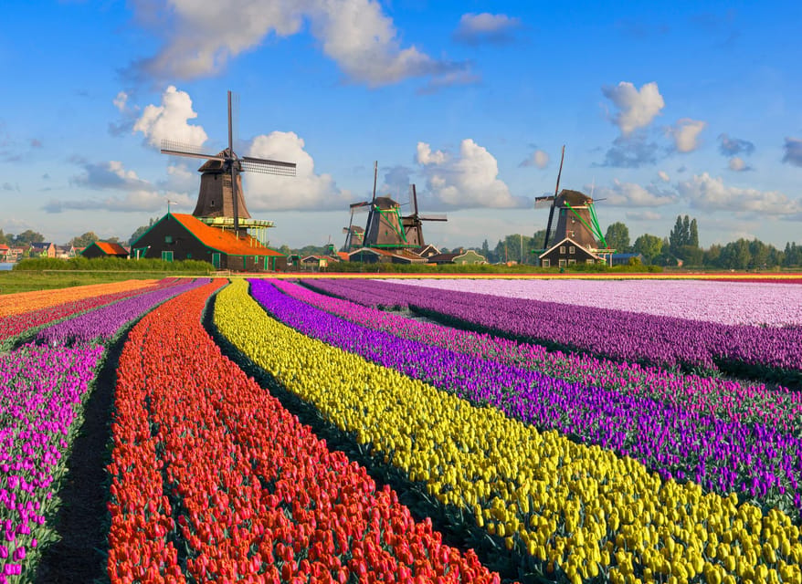 Amsterdam: Zaanse Schans, The Hague & Rotterdam Tour - Why this route works for a first look at the Netherlands