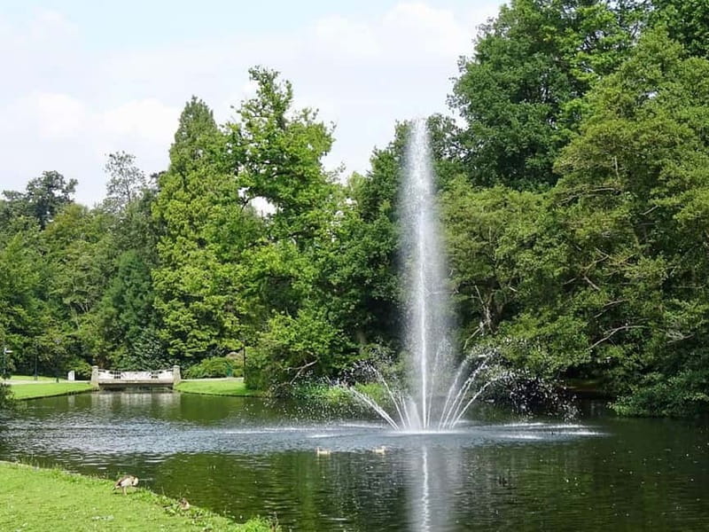 Arnhem: 8-hour culinary car tour of Veluwe - Waterfalls and Veluwezoom bring short walks