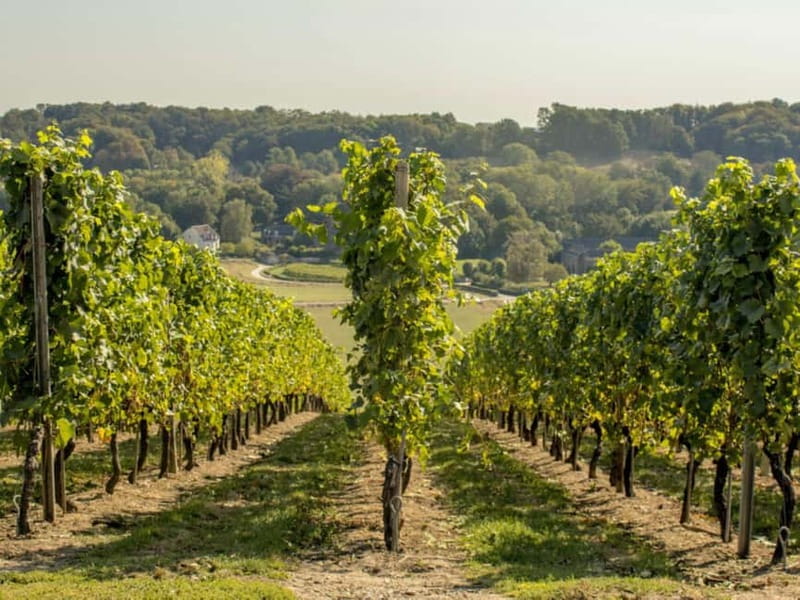 Arnhem: 8-hour culinary car tour of Veluwe - Castle gardens add a historic finish
