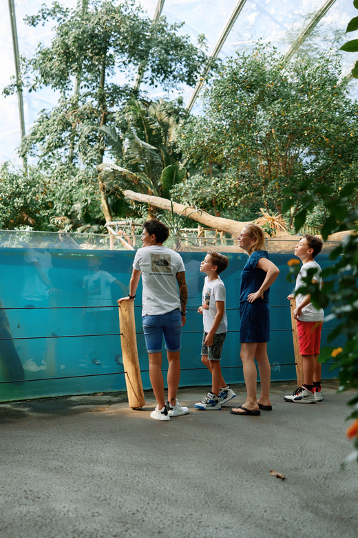 Arnhem: Burgers' Zoo Entry Ticket - Key points to know before you go