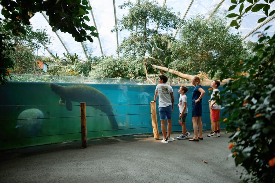 Arnhem: Burgers' Zoo Entry Ticket - Is $33 a fair price?