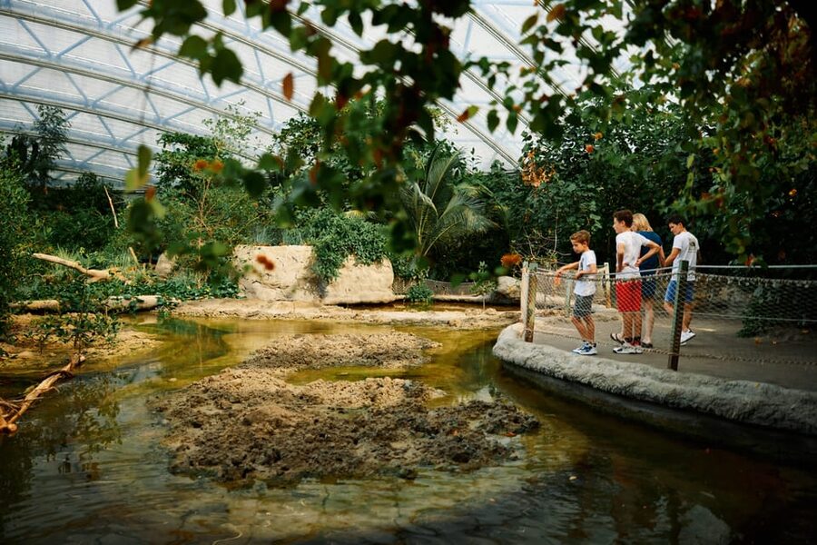 Arnhem: Burgers' Zoo Entry Ticket - The Rimba: Malay rainforest atmosphere