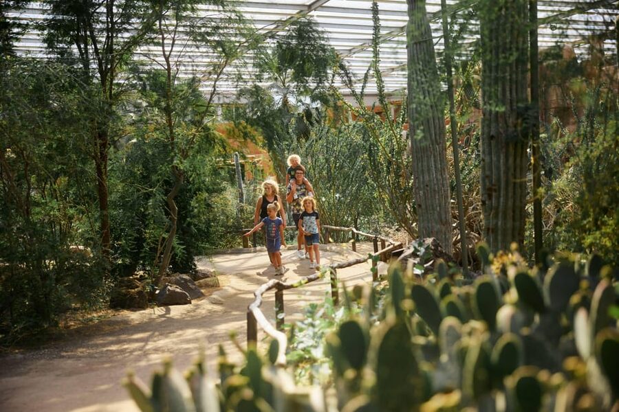 Arnhem: Burgers' Zoo Entry Ticket - Planning eight hours without wearing yourself out