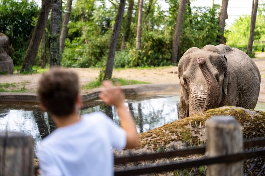 Arnhem: Burgers' Zoo Entry Ticket - The Bush: heat, plants, and jungle sounds