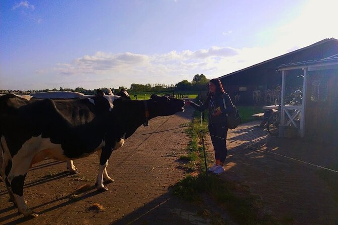 Best of Dutch Countryside: Giethoorn, Windmills, Secret Villages - Cheese tasting at Catharina Hoeve