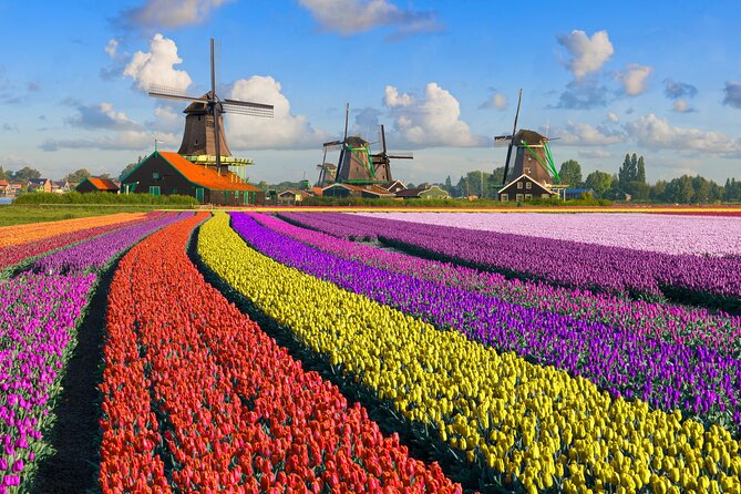 Best of Netherlands: Zaanse Schans Mills, The Hague & Rotterdam - The bus rides are part of the bargain