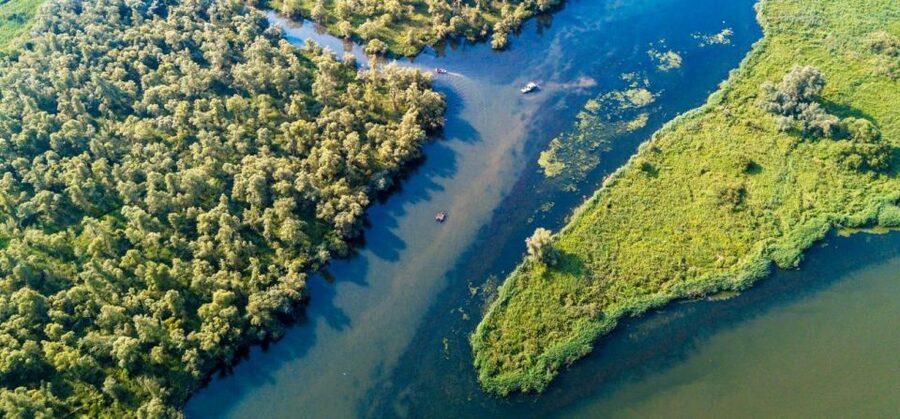 Biesbosch: Boat Cruise through National Park - Key points to know before boarding