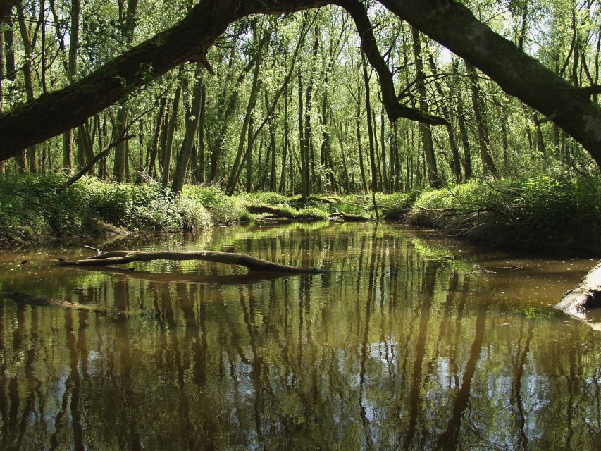Biesbosch: Boat Cruise through National Park - Boarding at Drimmelen