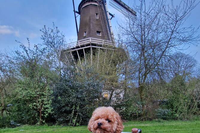 Bill's Bike Tour Amsterdam - Culture, Liberalism & Tolerance - What the $79.79 Price Gets You