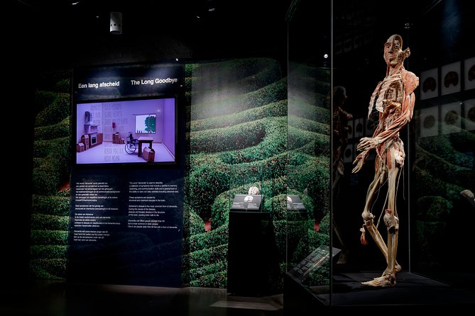 Body Worlds Amsterdam Admission Ticket - The Happiness Project changes the tone