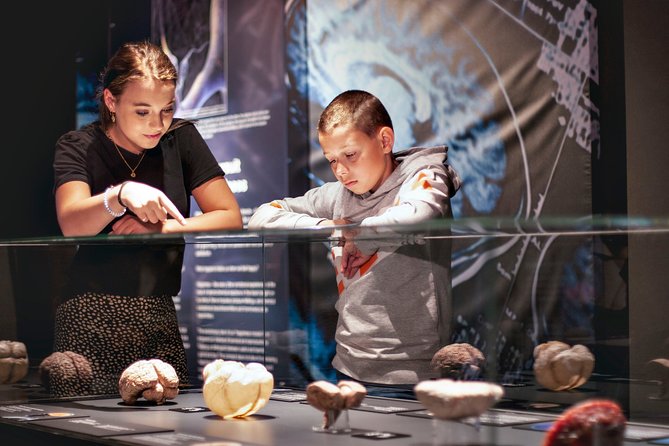 Body Worlds Amsterdam Admission Ticket - The full-body displays and anatomy lessons