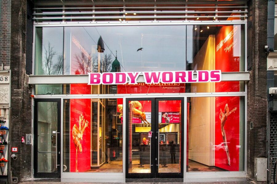 Body Worlds Amsterdam: The Happiness Project Ticket - What Body Worlds Amsterdam is really showing you