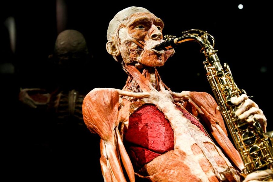Body Worlds Amsterdam: The Happiness Project Ticket - Seeing real human bodies through plastination