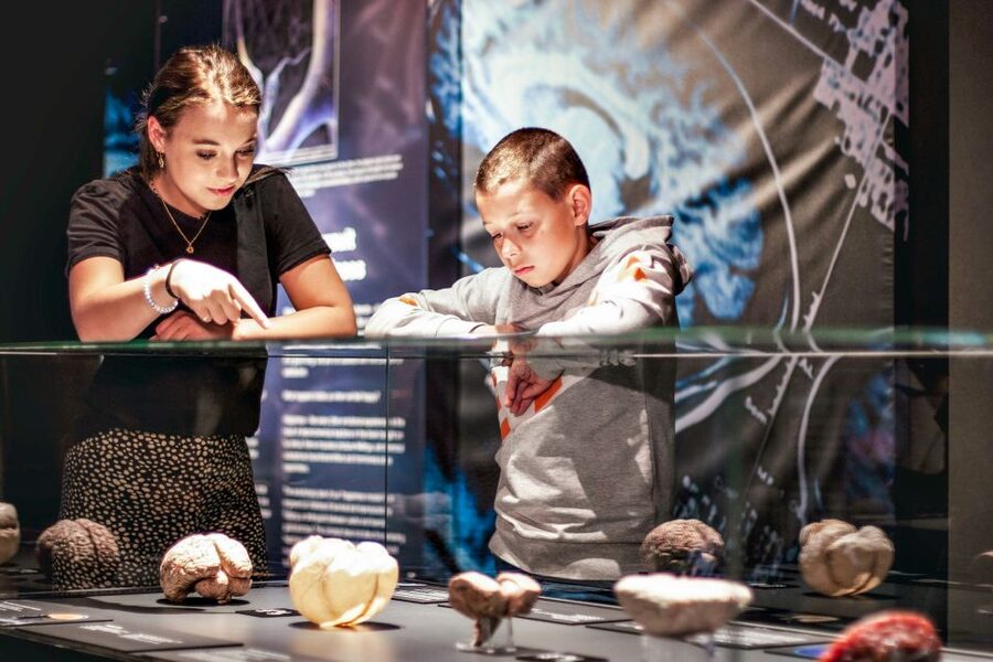 Body Worlds Amsterdam: The Happiness Project Ticket - The Happiness Project and your own health