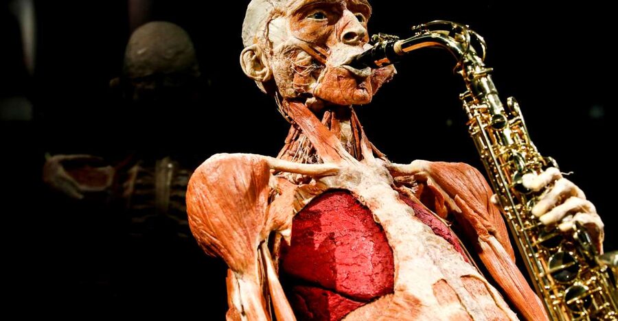 Body Worlds Amsterdam: The Happiness Project Ticket - Starting on the sixth floor and working down