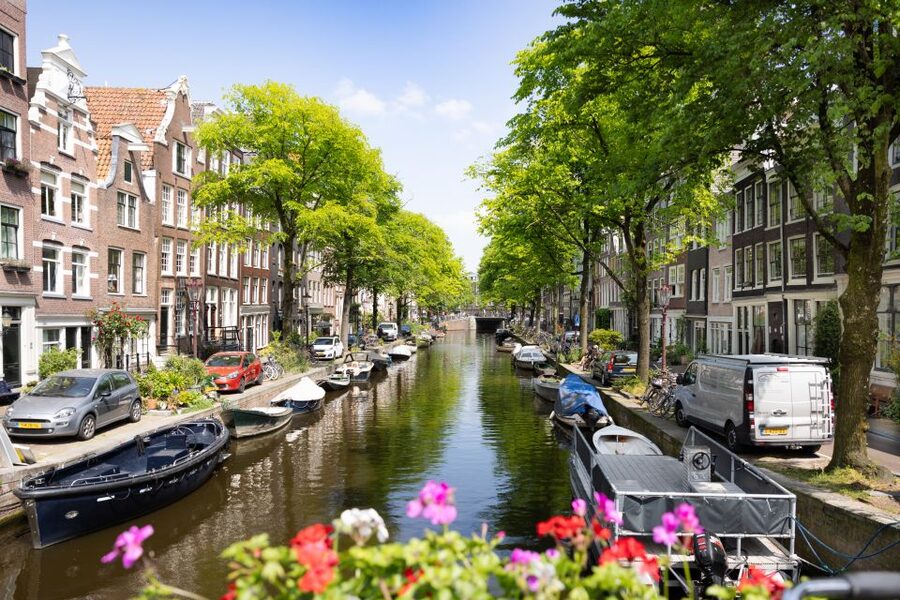 Boutique Dutch Food & History Tour with up to 8 guests only - Who should book this experience?